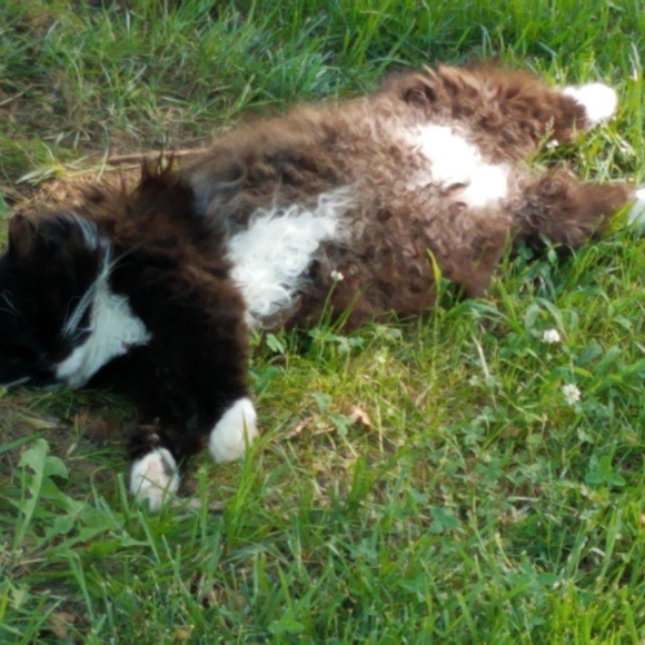 Meet your Posher, Catmam58 - Picture 7 of 16